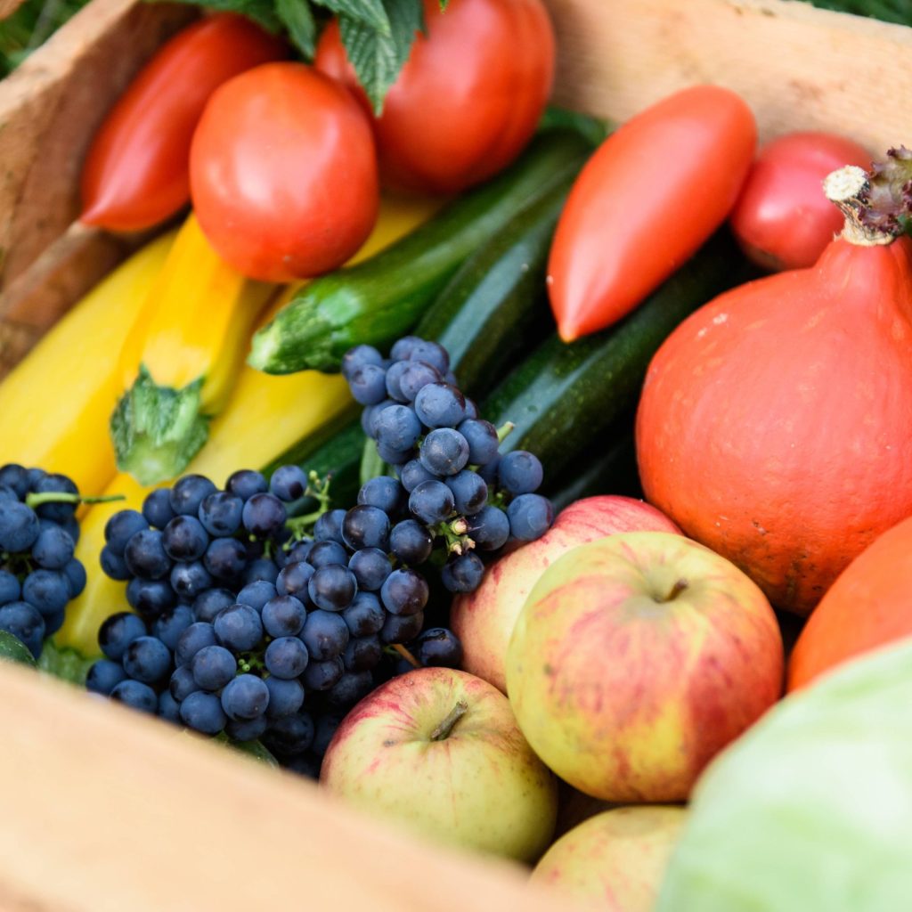 DKWMP-Walkiewicz-Ekologiczne-gospodarstwo-Maciej-Wiśniewski-004